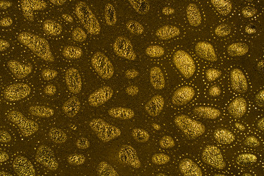 Similar image 21843929