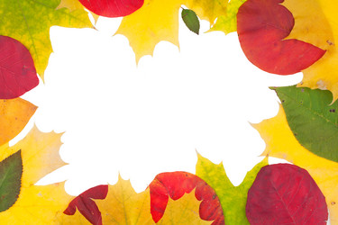 Similar image 21843935