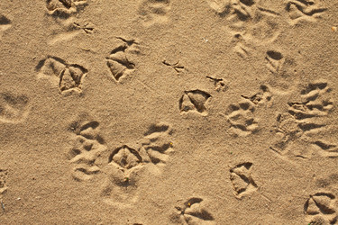 Similar image 21843951