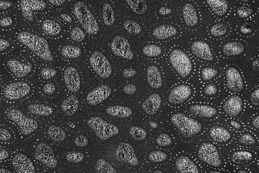 Similar image 21844841