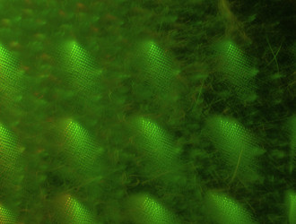 Similar image 21845709