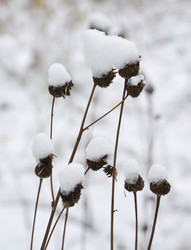 Similar image 21845030