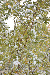 Similar image 21845031