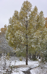 Similar image 21845034