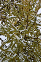 Similar image 21845035