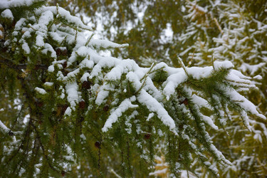 Similar image 21845037