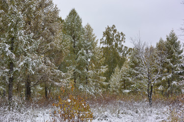 Similar image 21845039