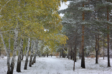 Similar image 21845041