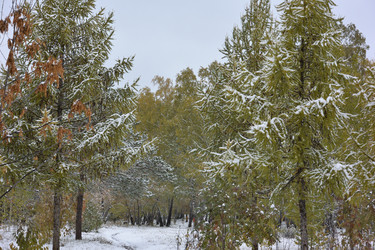 Similar image 21845042