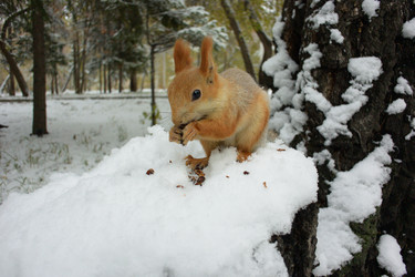 Similar image 21845044