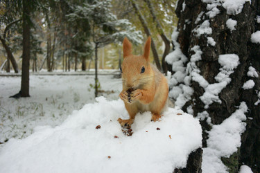 Similar image 21845045