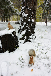 Similar image 21845046