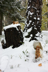 Similar image 21845047