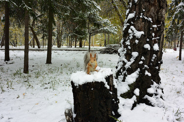 Similar image 21845048