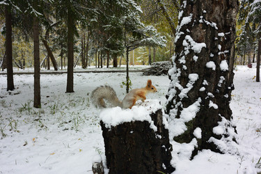 Similar image 21845049