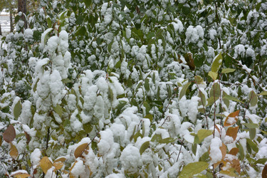 Similar image 21845050