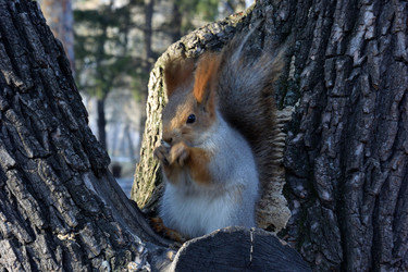 Similar image 21845053