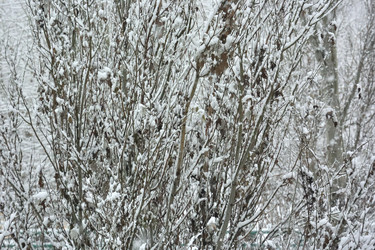 Similar image 21845056