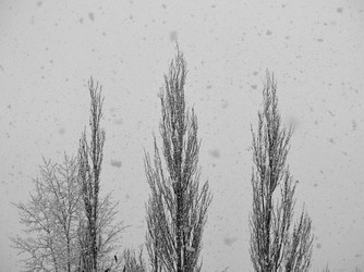 Similar image 21845058