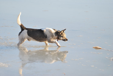 Similar image 21845061