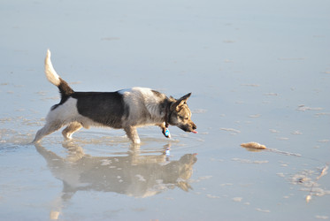 Similar image 21845062