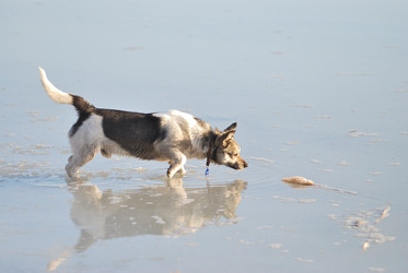 Similar image 21845063