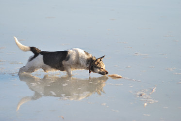 Similar image 21845064