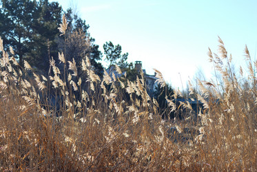 Similar image 21845066