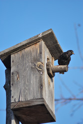 Similar image 21845067