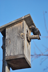 Similar image 21845068