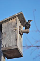 Similar image 21845069