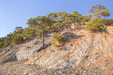 Similar image 21848069