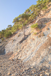 Similar image 21848070