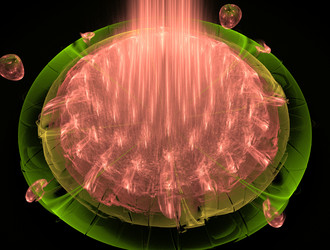 Similar image 21847302