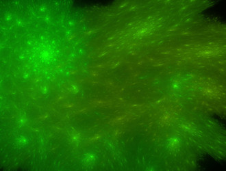 Similar image 21847316