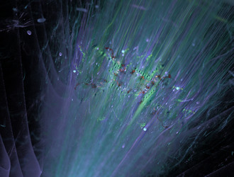 Similar image 21847336