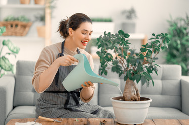 Similar image 21847107