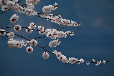 Similar image 21847607