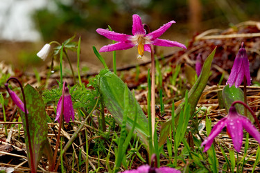 Similar image 21847608