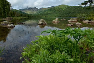 Similar image 21847613