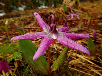 Similar image 21847616