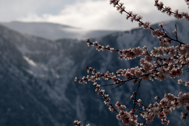 Similar image 21847620