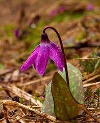 Similar image 21847345