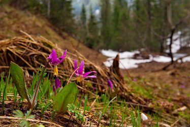 Similar image 21847347