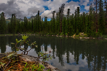 Similar image 21847348