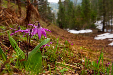 Similar image 21847349