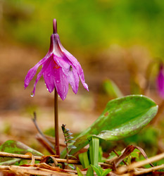 Similar image 21847351