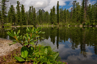 Similar image 21847354