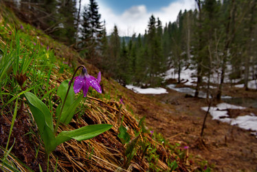 Similar image 21847355