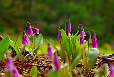 Similar image 21847357